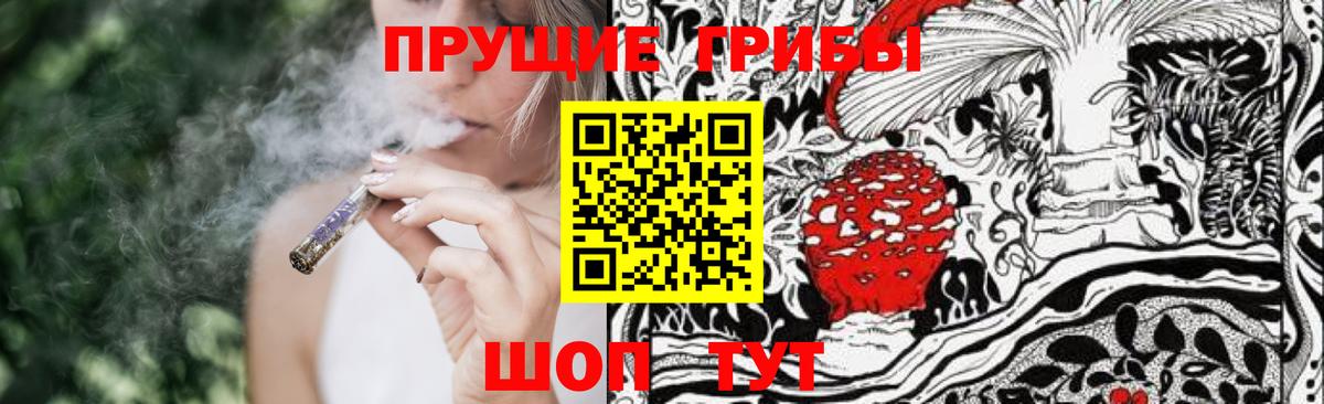 Рославль  Псилоцибиновые грибы MAGIC MUSHROOMS  где найти   Вход с VPN 
